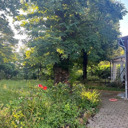 Unterkunft Mozart Maagdenburg Buitenkant foto
