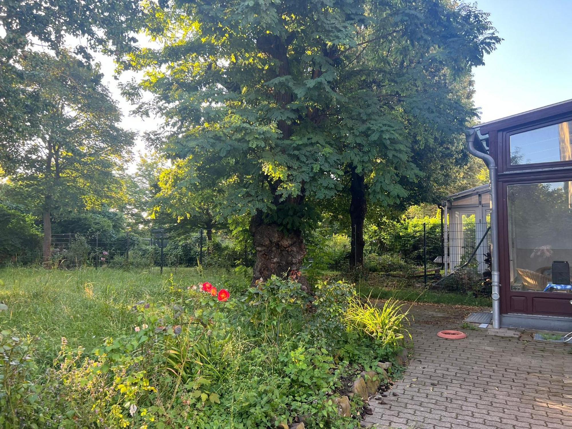 Unterkunft Mozart Maagdenburg Buitenkant foto
